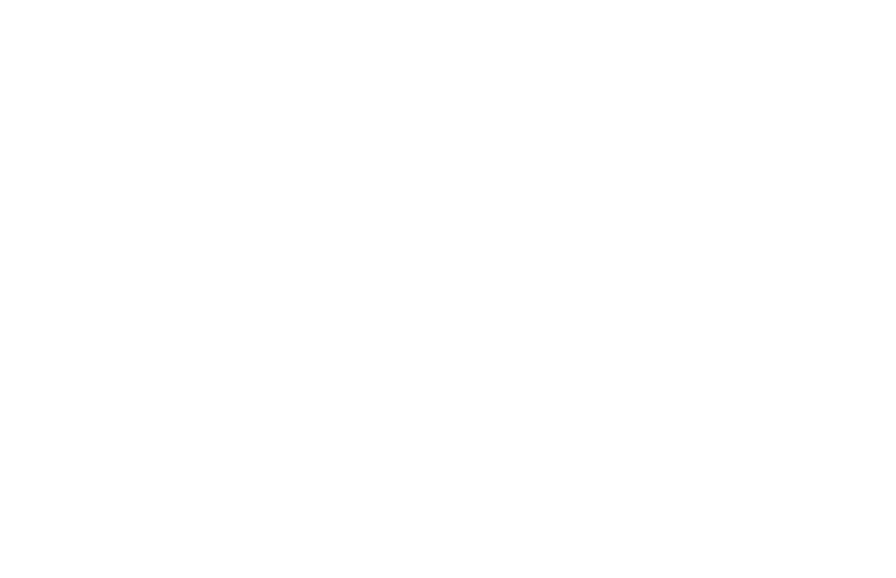The PMA Group